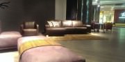 I.M.M. Cologne 2014