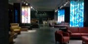 I.M.M. Cologne 2014