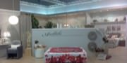 I.M.M. Cologne 2015